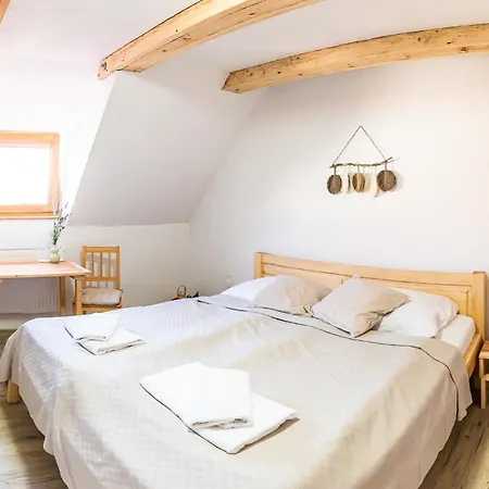 Althanský Penzion 3*